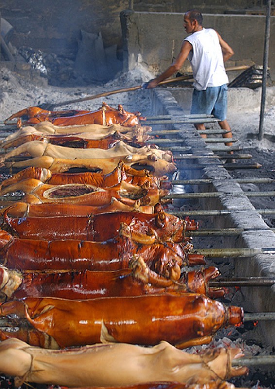 lechon-pigs-roasting